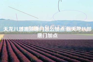 天龙八部端游唐门怎么加点,新天龙八部唐门加点
