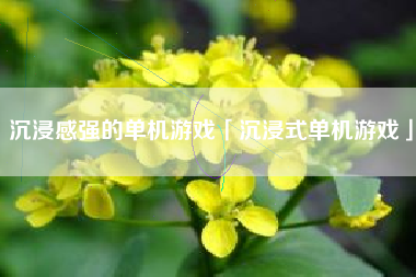 沉浸感强的单机游戏「沉浸式单机游戏」