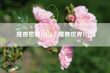 魔兽世界17173「魔兽世界1713」
