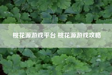 桃花源游戏平台 桃花源游戏攻略