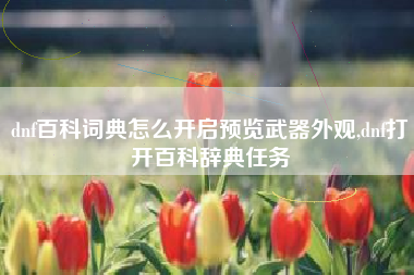 dnf百科词典怎么开启预览武器外观,dnf打开百科辞典任务