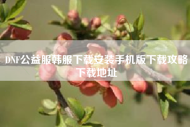 DNF公益服韩服下载安装手机版下载攻略下载地址