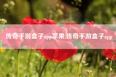 传奇手游盒子app苹果,传奇手游盒子app