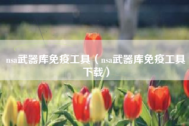 nsa武器库免疫工具（nsa武器库免疫工具下载）
