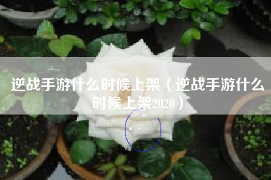 逆战手游什么时候上架（逆战手游什么时候上架2020）