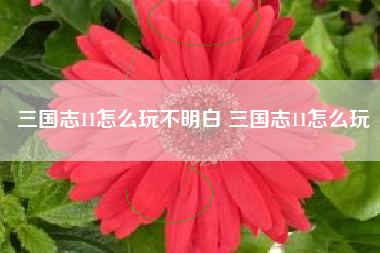 三国志11怎么玩不明白 三国志11怎么玩