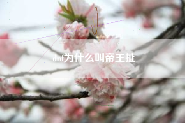 dnf为什么叫帝王扯