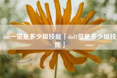 dnf一觉是多少级技能「dnf1觉是多少级技能」