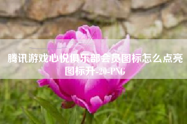 腾讯游戏心悦俱乐部会员图标怎么点亮图标升-20-PNG