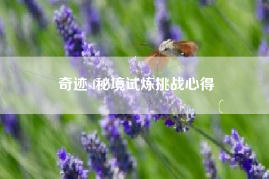 奇迹sf秘境试炼挑战心得