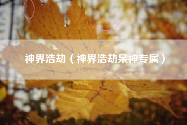 神界浩劫（神界浩劫呆神专属）