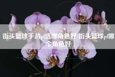 街头篮球手游pf选哪角色好 街头篮球pf哪个角色好