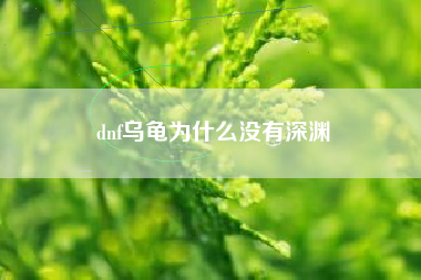 dnf乌龟为什么没有深渊
