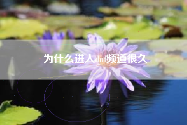 为什么进入dnf频道很久