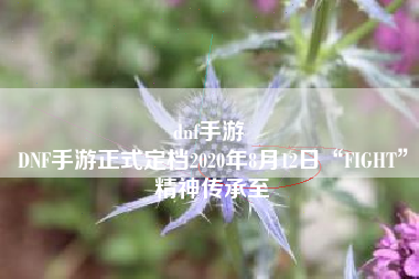 dnf手游 
DNF手游正式定档2020年8月12日“FIGHT”精神传承至