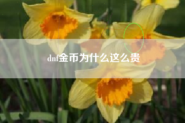 dnf金币为什么这么贵