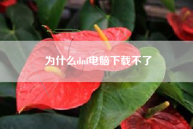 为什么dnf电脑下载不了