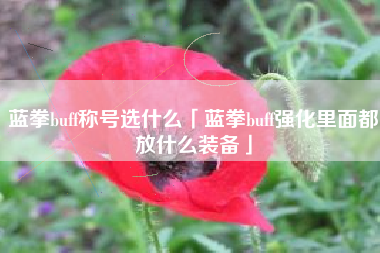 蓝拳buff称号选什么「蓝拳buff强化里面都放什么装备」