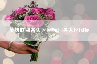 英雄联盟各大区图标,lol各大区图标