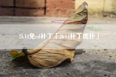 2k14免cd补丁「2k14补丁虎扑」