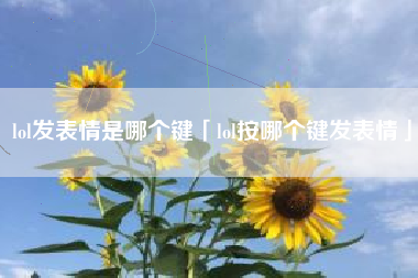 lol发表情是哪个键「lol按哪个键发表情」