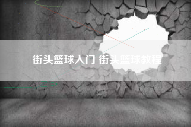 街头篮球入门 街头篮球教程