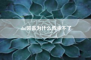 dnf装备为什么传承不了