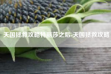天国拯救攻略特丽莎之后-天国拯救攻略