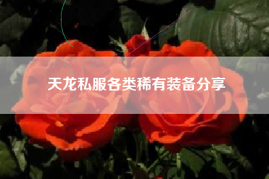 天龙私服各类稀有装备分享