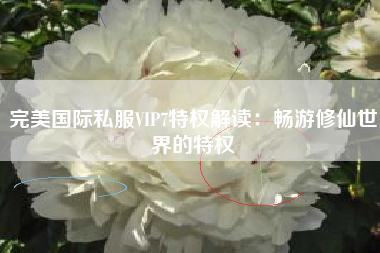 完美国际私服VIP7特权解读：畅游修仙世界的特权