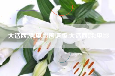 大话西游2电影国语版,大话西游2电影