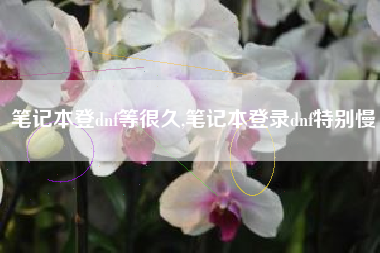 笔记本登dnf等很久,笔记本登录dnf特别慢