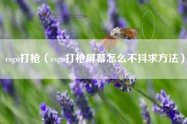 csgo打枪（csgo打枪屏幕怎么不抖求方法）