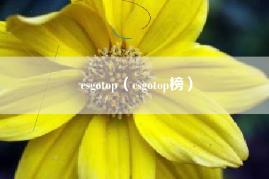 csgotop（csgotop榜）