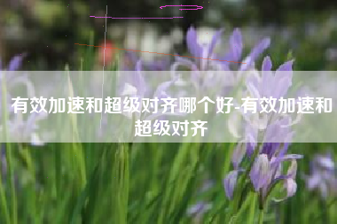 有效加速和超级对齐哪个好-有效加速和超级对齐
