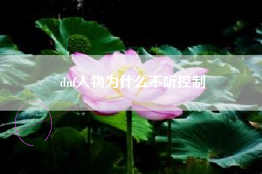 dnf人物为什么不听控制
