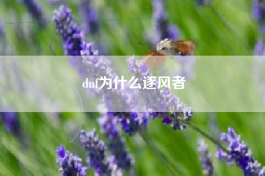 dnf为什么逐风者