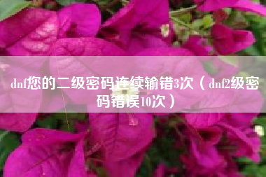 dnf您的二级密码连续输错3次（dnf2级密码错误10次）