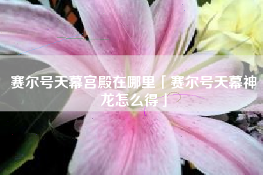 赛尔号天幕宫殿在哪里「赛尔号天幕神龙怎么得」