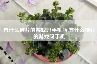 有什么推荐的游戏吗手机版,有什么推荐的游戏吗手机