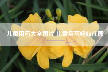 儿童用药大全图片 儿童用药蚂蚁庄园