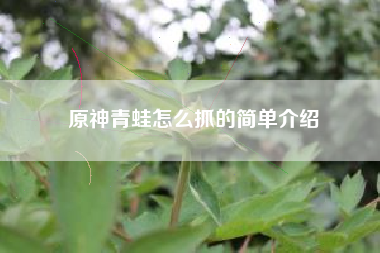 原神青蛙怎么抓的简单介绍