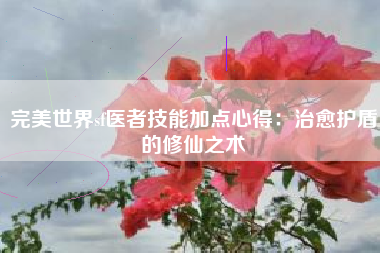 完美世界sf医者技能加点心得：治愈护盾的修仙之术
