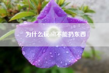 为什么玩dnf不能扔东西