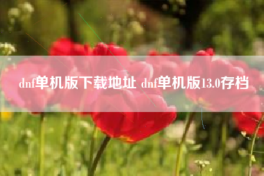 dnf单机版下载地址 dnf单机版13.0存档