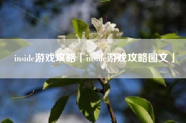 inside游戏攻略「inside游戏攻略图文」