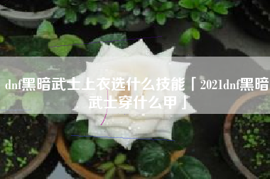 dnf黑暗武士上衣选什么技能「2021dnf黑暗武士穿什么甲」
