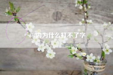 dnf内为什么打不了字