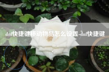 dnf快捷键移动物品怎么设置-dnf快捷键