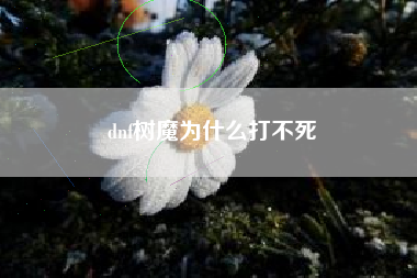 dnf树魔为什么打不死